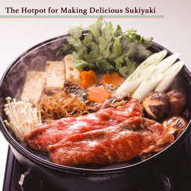 TIKUSAN Sukiyaki Nabe Pot Shabu Shabu Hot Pot Pan (11.0" (28cm))