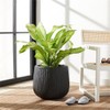 SAFAVIEH Outdoor Collection Francia Grey Concrete Planter (Fully Assembled)