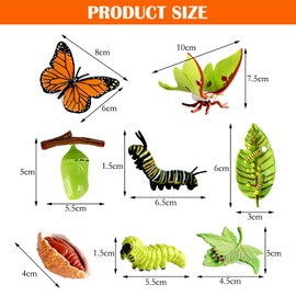 HENGBIRD 8 Pieces Butterfly Life Cycle Toy Figures and Moth Figure from Caterpillar to Butterfly Growth Cycle Kit Montessori Toy Learning Tools School Project for Children 3-8 Years Old