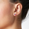 Stainless Steel American Flag Earrings Studs, United States