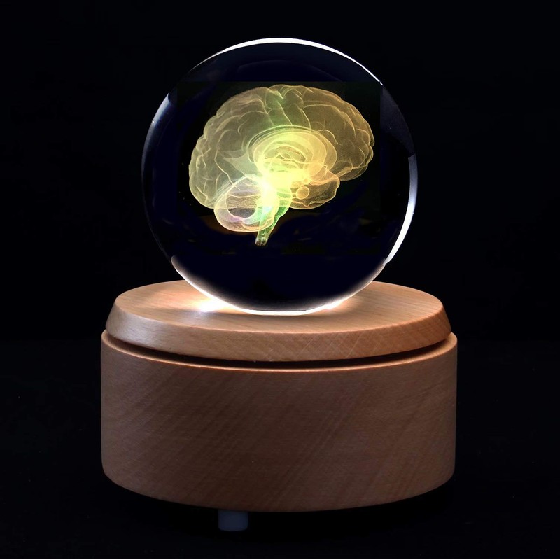 3D Human Brain Anatomical Model Paperweight(Laser Etched) in Crystal Glass