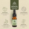 ORE Aceite de Orégano Silvestre, 10ml, 80% Carvacrol, Suplemento Aceite