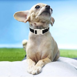 Cotton Hemp Dog Collar Adjustable, Black Dog Collar Soft Natural Fabric with Quick Release, Cute Wedding Puppy Necklace for Small Medium Large Dog, Black-L