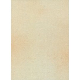 Annotation 料紙 明日香 Half Paper Paper 100 Sheets (5 Pattern, 20 of each)