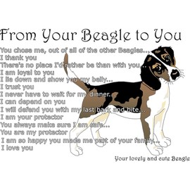 CafePress A Beagle's Letter to You Throw Blanket Super Soft Fleece Plush Throw Blanket, 60"x50"