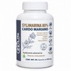 Extracto Sylimarina 80% Cardo Mariano Zy-Life 90 Caps Apoyo Hepático