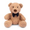 Harry Barker Teddy Plush Toy