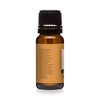 Cedarwood Premium Grade Fragrance Oil - 10ml - Scented Oils