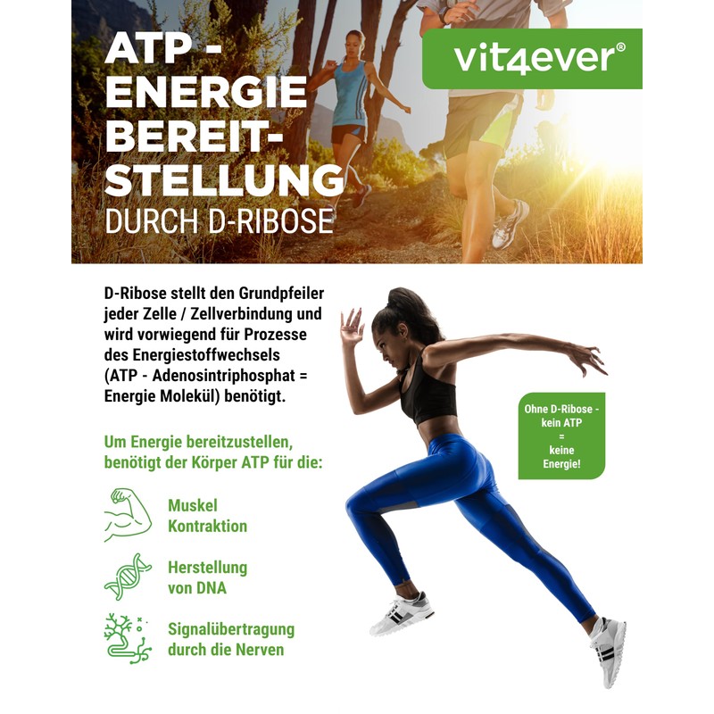 D-Ribose Powder - 320 g - 80 Daily Servings with