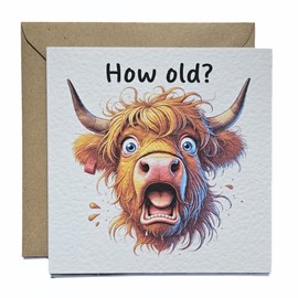 Funny Highland Cow Birthday Card - with Envelope