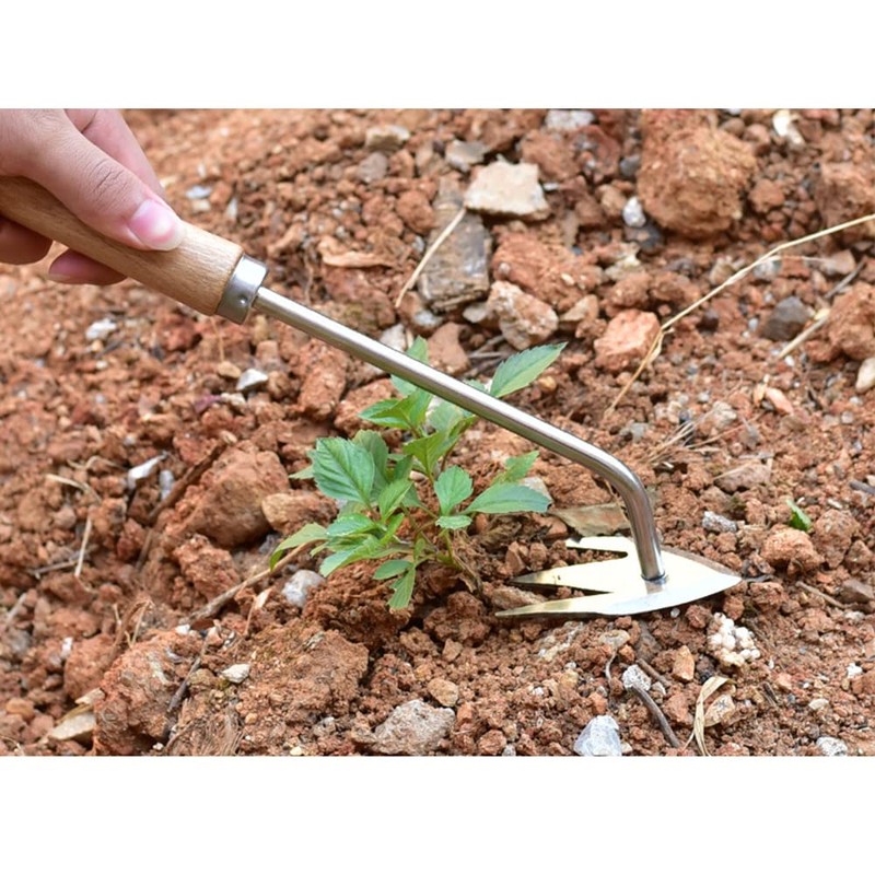 2-in-1 Grout Scraper Weed, 31.5 cm Weed Cutter, Dandelion Cutter,