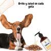 Aceite De Salmon Omega 3 Perros Pure Y Gatos 500