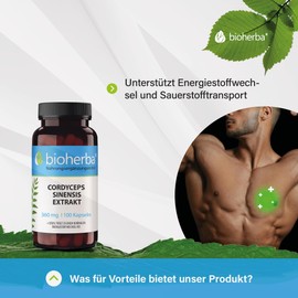 BIOHERBA - Cordyceps Sinensis Extrakt 1440 mg pro Tag, 100 Kapseln – Hochdosiert, 40% Polysaccharide, Tibetischer Raupenpilz, Ophiocordyceps sinensis - Pilz Extrakt, Eisenangereichert, PZN 17190298