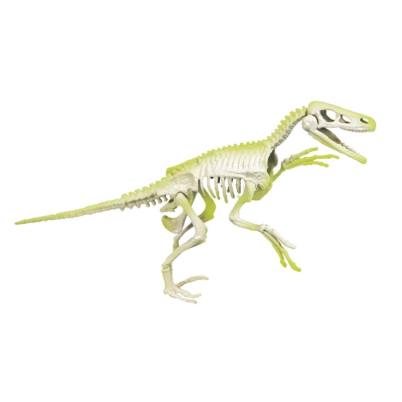 Clementoni Science & Play 78775 Velociraptor Excavation Series, 6+ Years