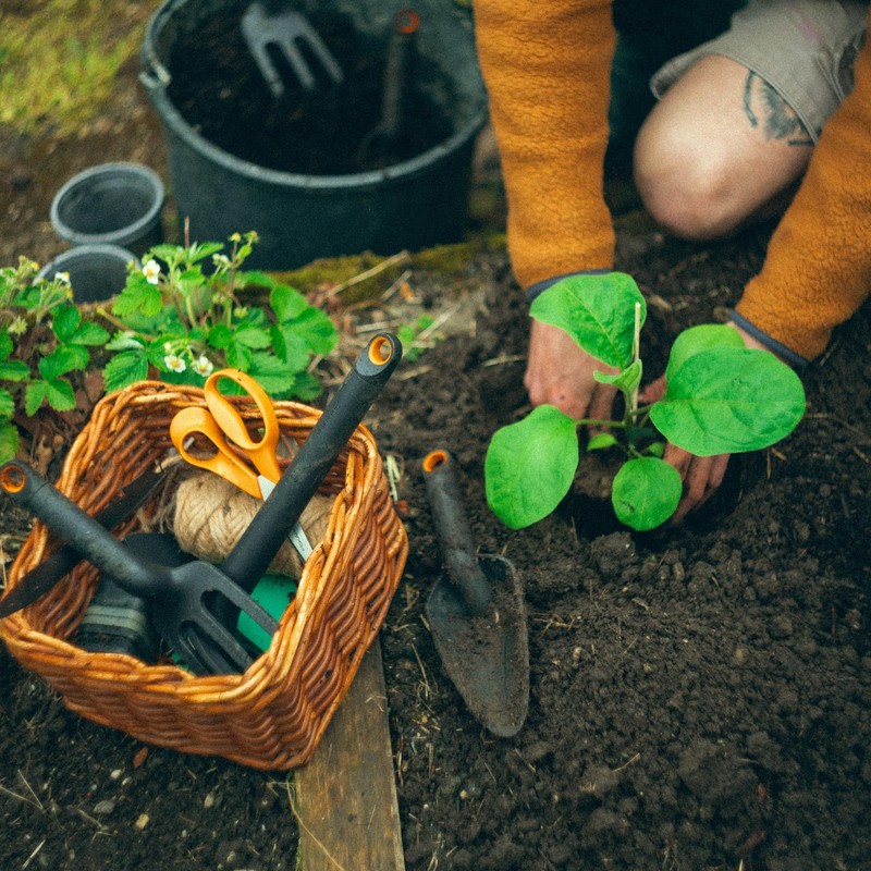 Fiskars Eco Transplanter with Narrow Curved Spade, Depth Markings, Ergonomic