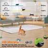 Interactive Cat Toy for Indoor - Automatic Cat Treadmill with