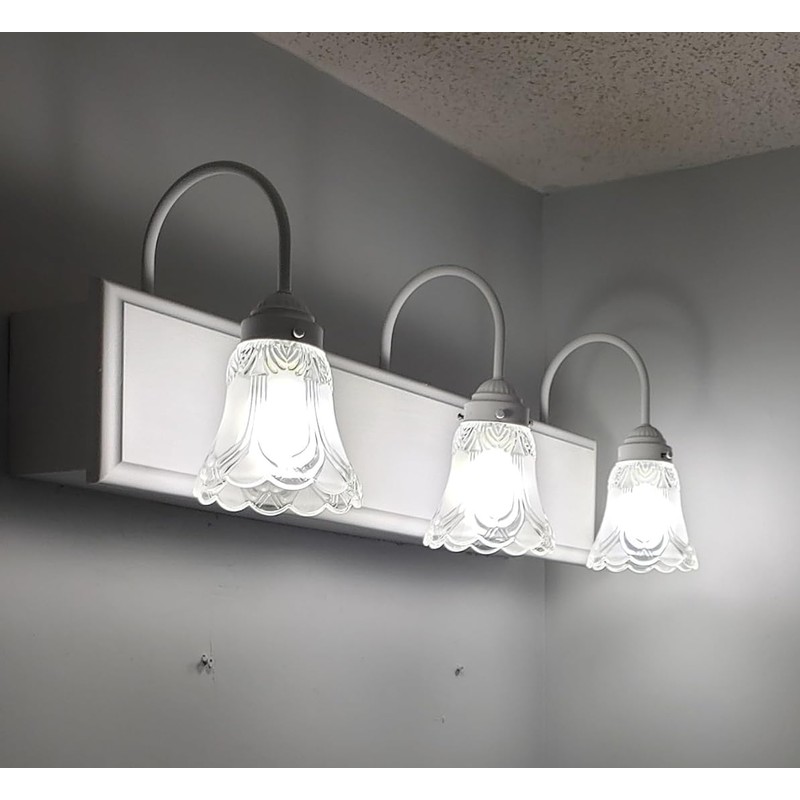 SHENGQINGTOP 4 Pack Clear & Frosted Glass Lamp Shade Replacement