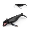 Cat Jin Mountain Humpback Whale Sea Life Figure Model Miniature