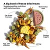 Wholesome Bowls Freeze Dried Dog/Cat Food with Chicken, Shrimp, Cat