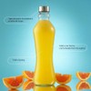 JoyJolt - Juego de 2 botellas de agua de vidrio,