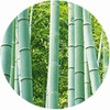 Cheonghyeongcheon Foot patch, bamboo grass sap patch, healing foot patch,