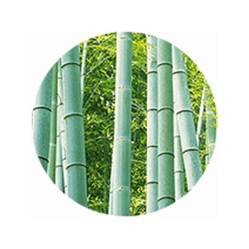 Cheonghyeongcheon Foot patch, bamboo grass sap patch, healing foot patch,