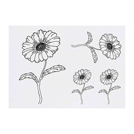 4 x 'Daisy' Temporary Tattoos - Water Resistant, Skin-Safe, Non-Toxic Transfers, Mixed Sizes (TO00048961)