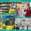 ORIA Refrigerator Thermometer, Digital Fridge Thermometer with High Low Temperature
