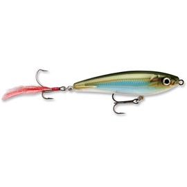 Rapala XRSB07 Currican X-Rap Subwalk, Moss Back Shiner