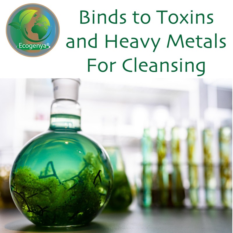 Ecogenya NEW Ecogenya Organic Chlorella Tablets - 500mg - Hawaiian