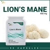 Ved Lion’s Mane Supplement 450mg, Lion's Mane Mushroom 15:1 Extract