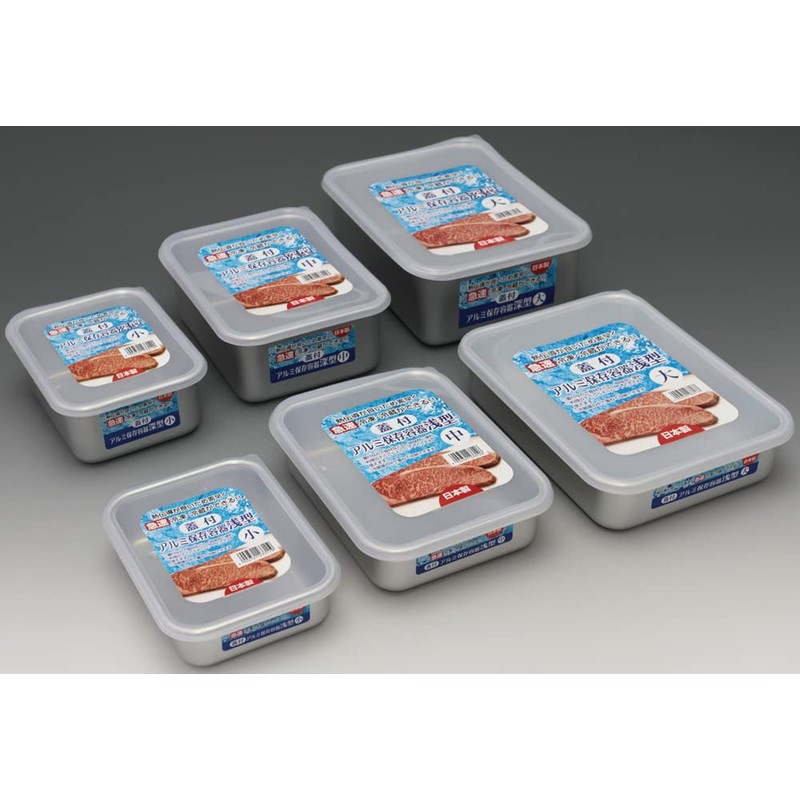 Taniguchi Metal 233133 Aluminum Storage Container with Lid, Shallow Type,