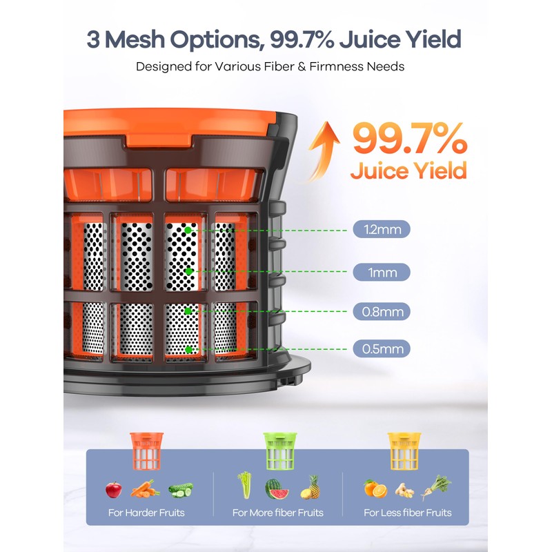 Ganiza Juicer Machines, Slow Masticating Juicers with Large Feed Chute