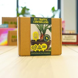 Fly Traffic Controllers