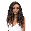 Janet Collection Nala Tress Butterfly Born Locs PASSION PLAIT TWIST