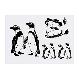 4 x 'Penguin Couple' Temporary Tattoos - Water Resistant, Skin-Safe, Non-Toxic Transfers, Mixed Sizes (TO00033841)