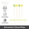 OGGI Citrus Cocktail Picks for Drinks 20 pcs - Lemon