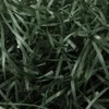Wgudzpj Easter Crinkle Cut Paper Shred Filler, Shredded Paper for