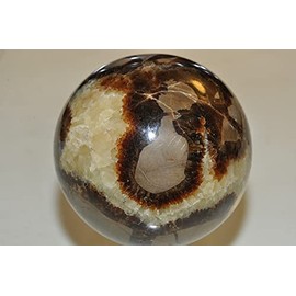 ✦ Bella-gems ✦ 50mm 178g "Individual Selected/Unique"~Madagascar SEPTARIAN Nodule (Dragon Stone) Metaphysical Healing Sphere Mineral Specimen - B1346