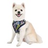 Puppia Botanical Harness A - Navy - M