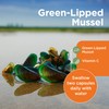 Healthspan Green Lipped Mussel | 120 Capsules | with Vitamin