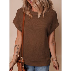 SHEWIN Sweaters for Women 2025 Basic Cute Tops Casual Loose Short Sleeve Shirts Crewneck Soft Pullover Sweater Spring Outfits Coffee S