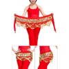 Baisdan Women's Sweet Belly Dance Hip Scarf, Belly Dance Skirt