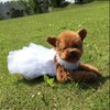 WORDERFUL Dog Wedding Dress Bride Outfit with Pearl Necklace and