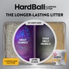 ARM & Hammer Hardball Clumping Cat Litter, Garden Bloom, 14.5
