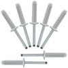 Zorveiio 50 Pcs 1/4" x 1" Aluminum Blind Rivets Dome