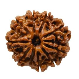 NAISHA 10 Mukhi Rudraksha Bead Necklace, 100% Certified & Original Ten-Faced Rudraksha Seed for Pooja/Prayer/Meditation