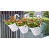 Capri Balcony Single Pot 20 cm Anthracite