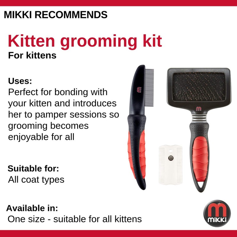 Mikki Kitten Cat Grooming Kit with Slicker Brush, Comb and
