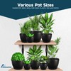 Lifemaster Plant Pots with Multi Drainage Holes - 5 Pieces